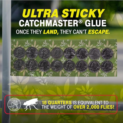 Catchmaster Window Fly Traps 12-Pack, Designed to Disguise House & Fruit Fly, Gnats, Adhesive Strips for Indoor, Disposable Bug Catcher, Insect Sticky Glue Traps, Pest Control for Home & Kitchen - size: 12 Leaf Print Traps