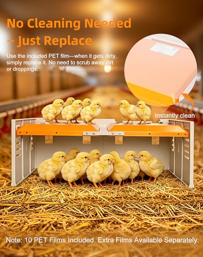 Chick Brooder Heating Plate - Briidea 80W Brooder Heater with 110–130℉ Constant Heat, 10 PET Cleaning Film, Adjustable Height & Angle, Warmth Like Mother Hen for 30 Small Poultry - color: Large Fence Style