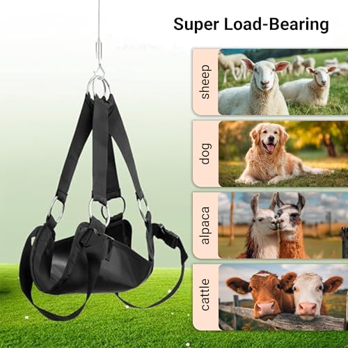 Calf Sling for Weighing 30"x25" up to 400 LB - Heavy-Duty 1800D Livestock Weighing Sling for Newborn Calf, Lamb, Goat, Alpaca, Pig, Dog - Hoof Trimming, Hanging Scale & Recovery Support (Large) - size: Large (30"x25", Up to 400 Pound)