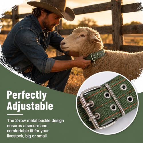 DOITOOL Cow Collar Canvas Calf Cattle Neck Collar, Adjustable Nylon Thickened Livestock Traction Neck Strap with 2 Rows Metal Buckle for Farm Goat Horse Goat Sheep Camel, Green