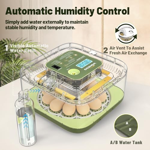 12 Egg Incubator with Automatic Egg Turning and Humidity Control, LED Egg Candling Light, Customized Incubation Days, Incubators for Hatching Eggs, Chicken Quail Parrot Pigeon Birds, Green - size: 12 eggs