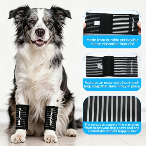Dog Leg Brace – Front & Rear Leg Support with Compression Wrap for Canine Joint Stability - size: Medium-Upgrade
