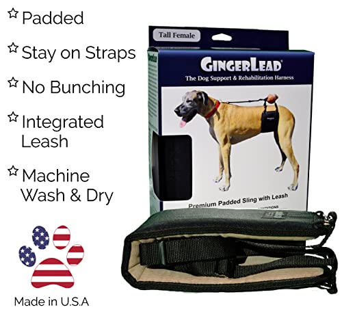 GINGERLEAD Dog Sling Hip Lift Support Harness, Tall Female, Made in USA | Fits Tall, Lean Dogs like Greyhounds or Great Danes, Padded Mobility Aid, Help Pets Walk or Balance, Machine Wash & Dry - size: Tall - Female