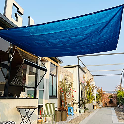 90% Plant Shade Cloth 2 Ft × 3.3 Ft Greenhouse Shade Cloth for Protect Vegetable Plants Fruits Flowers Crops - Blue - color: Blue, size: 2 FT x 3.3 FT
