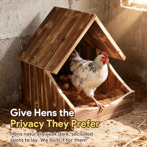 Chicken Nesting Boxes, 2 Pack Wall-Mounted Wooden Nesting Box, Specialized for Chicken Coops, Features a Cozy & Private Laying Space, Suitable for Chickens, Ducks and Other Poultry - color: 2 Pack