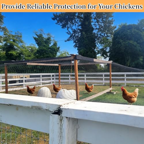 25x50ft Heavy Duty HDPE Poultry Netting,2.4" Bird Netting for Chicken Coop Run Chicken Pen,Strong Chicken Run Net Against Hawk & Predator,Tangle-Free UV Resistant (25FT)