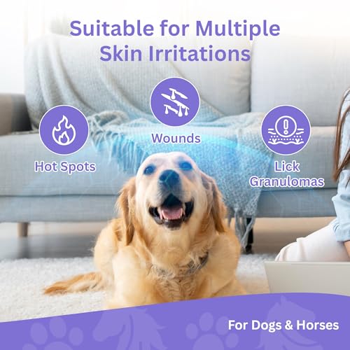 Pavia Pet Health Bundle | Veterinary Thermometer (6-Second Accurate Readings) + Power Pads Anti-Lick Wound Care | for Dogs, Cats & Horses | Essential Care Kit