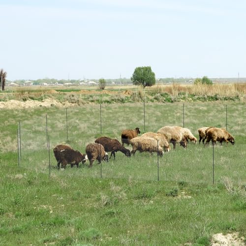 Non Electric Fence Netting 40" x100', Boundary Fence with Double Spiked Posts, Portable Poultry Fencing for Dogs, Chickens, Ducks, Turkeys in Backyard, Garden, Farm