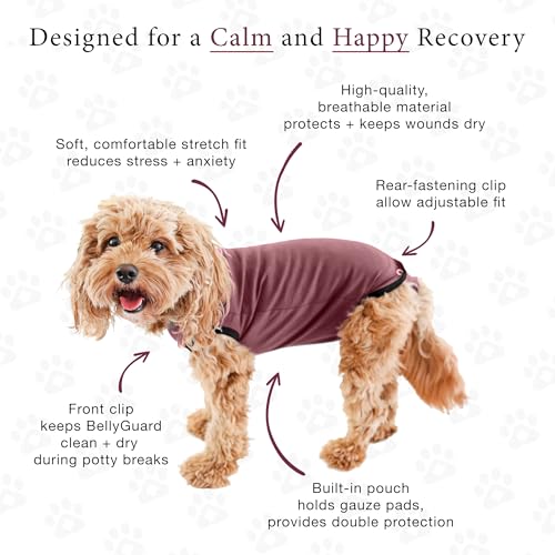 Dog Surgery Recovery Suit, Male Female After Spay Neuter Onesie | Soft Breathable Cotton, Anti-licking Cone Alternative, Protects Stitches & Abdominal Wounds, Patented Clip-up Potty System - color: Rose, size: Small