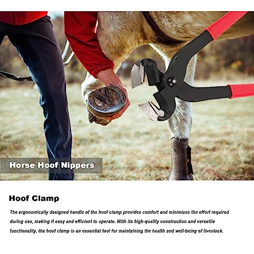 14 Inch Horse Farrier Tool Kits,7 Piece Professional Hoof Trimming Kit with Hoof Nippers, Rasp, Shear Cutter, Hoof Knife, Pick, Gloves, Storage Bag, for Horse Goat Pig Hoof Care - size: 14 Inch
