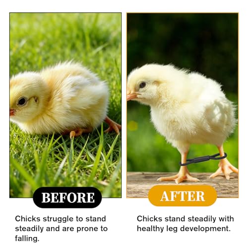 50 Pieces Chick Leg Bands Baby Chicken Splay Hobble Brace Adjustable Poultry Leg Bands for Newborn Chicken Birds Quails Ducks of 1 to 3 Days Newly Hatched