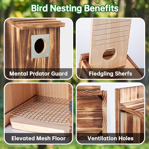 UUMENHA 2 Pack Bird Houses for Outside with Metal Predator Guard | Carbonized Wooden Nesting Boxes for Outdoor, Sturdy Bird House for Bluebird Wren Swallow Finch, ,Easy to Clean