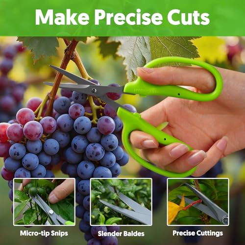 Garden Scissors, 2 PCS, 6-in, Non-Stick Coated Steel, Straight Blades | Sharp Pruning Shear, Gardening Tools, Garden Snips for Plants, Herbs, Flowers in Grow Tent and Hydroponics, Easy to Clean - style: Straight Blade