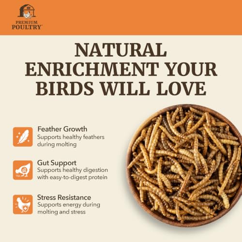 Black Soldier Fly Larvae for Chickens – High Calcium Chicken Treats for Strong Eggshells & Egg Production – Dried BSFL Grubs Poultry Feed for Ducks, Wild Birds & Backyard Flocks, 10lb - size: 10lb, style: Soldier Fly Larvae
