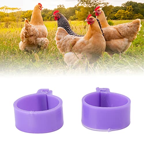 100Pcs Chicken Foot Ring Classification Marking Purple Poultry Foot Rings Plastic Chicken Leg Bands Round Identificaiton Tags Farming Tools (16mm-Purple)