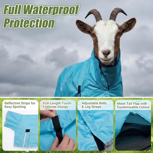 Goat Sheep Blanket -Summer Sun Protection Rain Coat for Show Goats Sheep Lambs Livestock Lightweight Waterproof Fly Sheet with Adjustable Belly Straps(L) - size: L