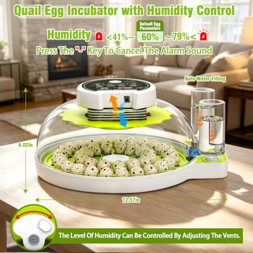Quail Egg Incubator with Automatic Turner and Humidity Control | Quail Incubators for 40 Hatching Eggs,Outdoor Poultry Egg Incubator, Suitable for Parrot Canary and Other Bird - color: Green