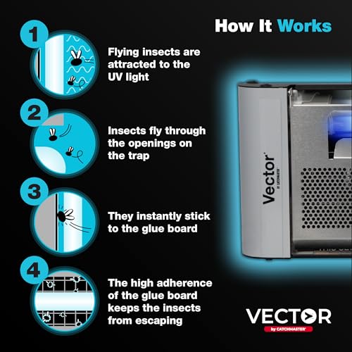 Catchmaster Vector Plasma One Wall-Mounted UV Fly Light Trap - 1,900 sq. ft. Catch Zone, UV Lamp Fly Trap for Dining Rooms, Commercial Kitchens, Fresh & Dry Food Storage, and Clean Medical Spaces - style: Plasma One - 1,416 sq ft