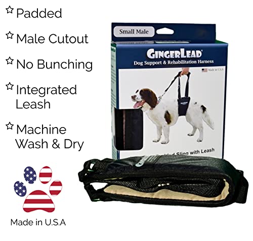 GINGERLEAD Dog Support Sling Rear Leg Harness, SM Male, Machine Wash & Dry | Fits Small to Medium Size Pets or Larger Barrel-Chested Breeds like Boxers, Bullies. Male Dachshunds use XS Size. Made in USA - size: Small - Male