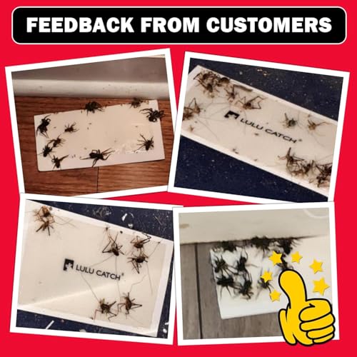 LULUCATCH Cricket Insect Glue Traps - 12 Pack Bug Cockroach Sticky Traps, Large Spider Trap with Pre-Baited Attractant, Highly Effective Glue Boards Indoor, Non-Toxic Pet Safe, Easy to Use - size: 12 Pack