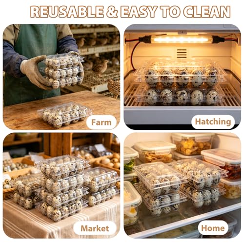 80 Pack Quail Egg Cartons 12 Grid, Heavy Duty Snap Lock Clear Plastic Small Egg Container, Stackable Bulk Tray for Quail Pigeon Button Eggs - Not for Chicken Eggs