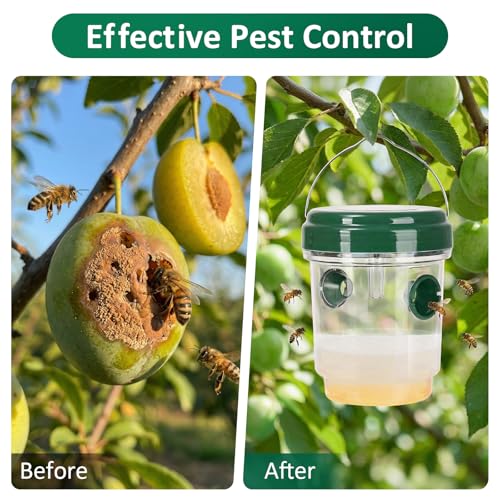 3 Pack Outdoor Hanging Wasp Catcher Reusable Insect Catching Container for Garden Yard Deck