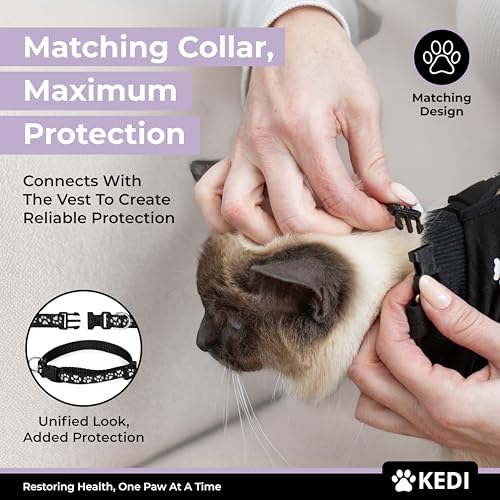 Cat Surgery Recovery Suit Female Cat Onesie for Cats After Surgery Spay Surgical Abdominal Wound Skin Diseases E-Collar Alternative Wear (Black, Medium) (Pack of 2) - color: Black, size: Medium (Pack of 2)