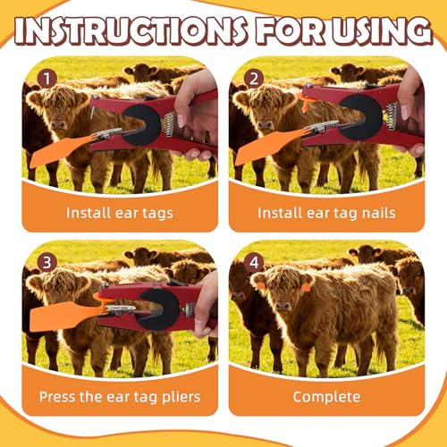 Blank Cattle Ear Tags 100PCS TPU Oversize 4.1x3 Inch Livestock Tags | Identification Tags for Cows Calves Cattle Goats Sheep Pigs Hog Fade Resistant Farm Animal Management (Orange) - style: Orange