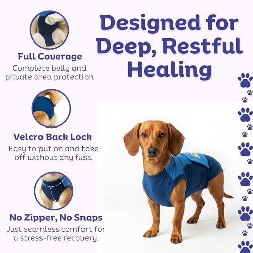 Surgi Snuggly Dog Surgery Recovery Suit, Cone Alternative, Spay/Neuter SL | Dog Recovery Suit for Dogs — Veterinarian-Invented Surgical Suit & Recovery Onesie with Easy Bathroom Access After Surgery - color: Double Blue, size: Small Long (L-12"-15" | G-14