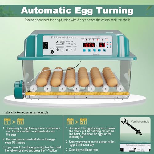 CoInceptus 36 Eggs Incubators for Hatching Eggs,Egg Incubator with 4 Automatic Incubate Mode,Chicken Incubator with Automatic Egg Turning Humidity Display,Quail Egg Incubator with Egg Candle - size: 36 Egg