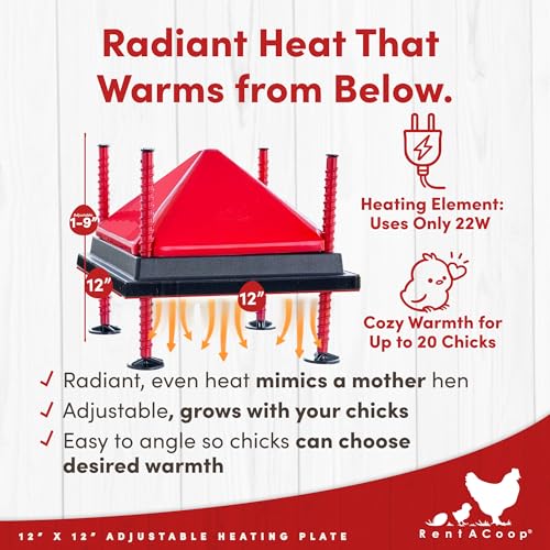 RentACoop 12x12” Adjustable Heating Plate with Hard Anti-Roost Cone Set