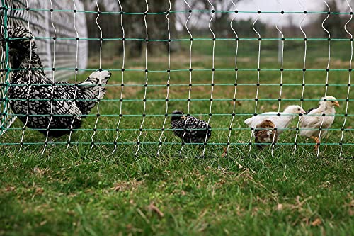 RentACoop 42" Electric Anti-Predator Poultry Fence and 0.6 Joule Plug-in Electric Fence Energizer Bundle