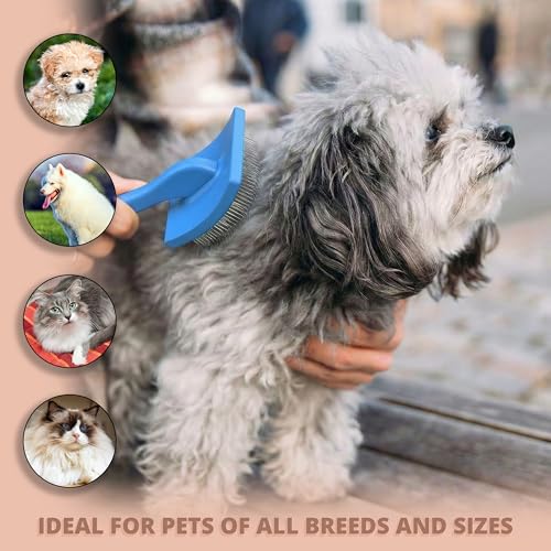 Slicker Brush for Dogs, Large Doodle Brush with Wooden Handle for Goldendoodle, Labradoodle & Poodles, Extra Long Pins for Dematting, Removing Mats & Thick Curly Coats(Blue,Large) - color: Blue