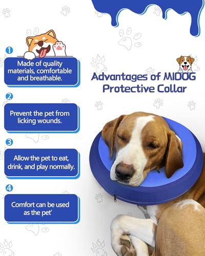 MIDOG Inflatable Dog Cone, Donut Recovery Collar After Surgery, Small | Soft inflatable donut e-collar; stops licking after surgery; pet eats & sees normally; neck 9-11 in (S); not for chewers - color: PinkBlue, size: Small (Neck:9"-10")
