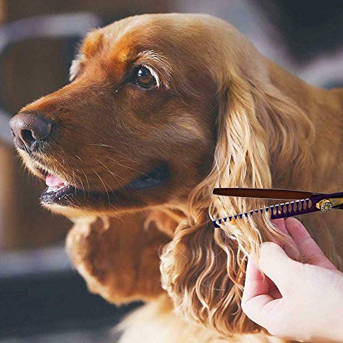 Purple Dragon Professional 7.0/8.0 inch Pet Grooming Hair Cutting Scissor | Japan 440C Stainless Steel, for Pet Groomer or Family DIY Use