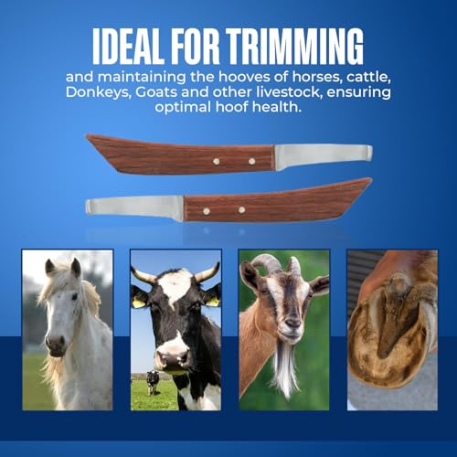 Hoof Knife Double Edged Wide Straight Blade,Stainless Steel Curved Blade Farrier Tool with Wooden Handle (Left Hand) - style: Extra Long Shaft - LH