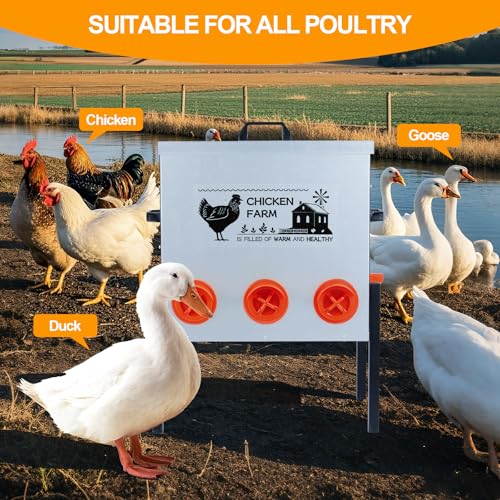 Automatic Chicken Feeder Box 50 lbs, 8 Feeding Ports, No Waste Poultry Feeder with Locking Lid and Adjustable Legs for Chickens, Ducks, Geese Galvanized Metal (50 Lbs-8 Ports) - size: 50 Lbs-8 Ports