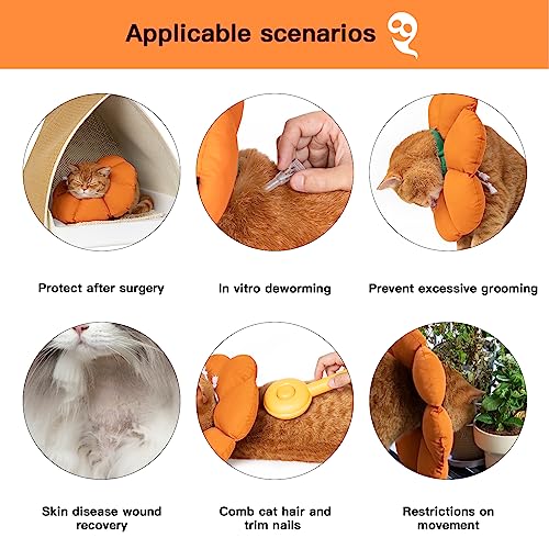 Cat Cone Collar,Cute Waterproof Recovery Collar,Anti-Bite Lick Wound Healing Safety Elizabethan e Collar for Cats,Orange Pumpkin Cat Halloween Costume - color: Orange pumpkin, size: Large