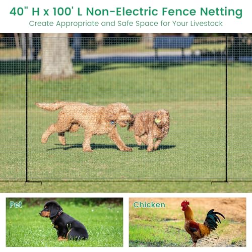 Non Electric Fence Netting 40" x100', Boundary Fence with Double Spiked Posts, Portable Poultry Fence All-Purpose Fencing for Dogs, Chickens, Ducks, Turkeys Suitable in Backyard, Garden, Farm