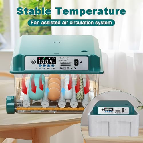 CoInceptus 16 Eggs Incubators for Hatching Eggs, Egg Incubator with Automatic Egg Turning and Temperature Control, Chicken Egg Incubators with Egg Candler for Duck Goose Pigeon Quail - size: 16 Egg