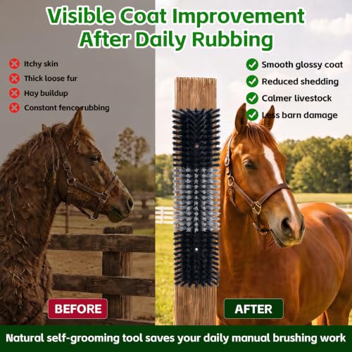 Livestock Scratch Brush for Cattle, Horses, Goats, Cow, Durable Scratching Brush, Massage Grooming Tool for Healthy Coat, Relieves Itching, Easy Install on Fence Posts(6pcs, Black) - color: Black, size: 6Pcs