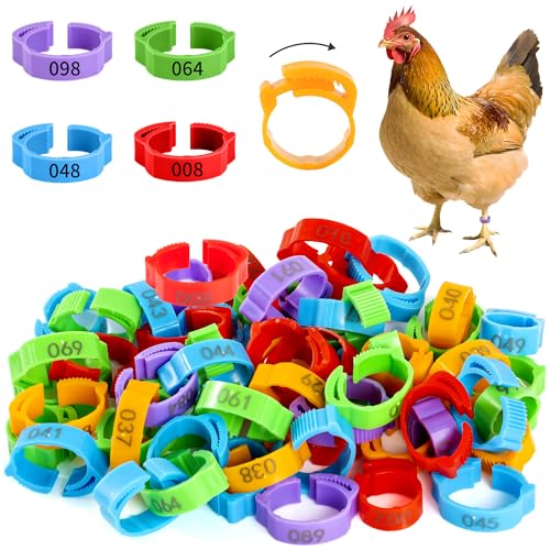 100pcs Chicken Leg Bands, 14-22mm Adjustable Poultry Tags, Durable Multi-Colored Hens Identification Leg Rings, Chicken Coop Accessories for Chickens, Chick, Ducks, Goose, Turkey, Birds