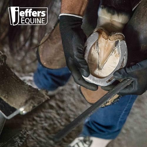 Jeffers Livestock Mini Hoof Rasp for Goats, Sheep, Pony, Mini Horses, Foals – 14" Ergonomic Steel Hoof Trimming Tool with 6 Teeth per Row – One Hand Use, Compact Farrier Hand Rasp