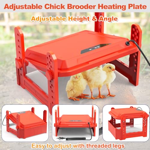 Chick Brooder Heating Plate with Adjustable Temperature, Chicken Brooder Heater for Baby Chicks, Ducklings, Safer Alternative to Heat Lamps, Adjustable Height, Brooder Plate 130W 19"x19" Red