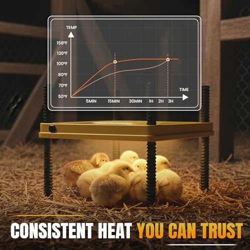 Heating Plate for Chick Brooder Adjustable 75W Chicken Heat Plate 10 x 10 Inch Warmer Brooder Heater for 10-12 Chicks ABC Plastic Material