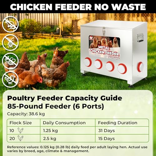 Chicken Feeder 85LB,6-Port Metal Poultry Feeder for Chickens, Poultry Coop | No Waste with Locking Lid&Riveted Handles,Adjustable Height,Large Capacity Rainproof Automatic Chicken Feeders