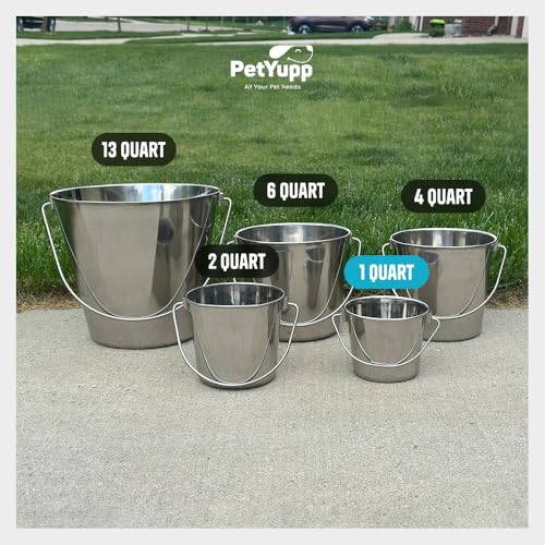 1 Quart Stainless Steel Bucket - Flat-Side Metal Bucket 0.25 Gallon | Rust-resistant & Durable Bucket For Food Prep Cleaning Feeding & Watering Pets & Livestock - For Crates Kennel Cages & Fences - size: 1 Quart