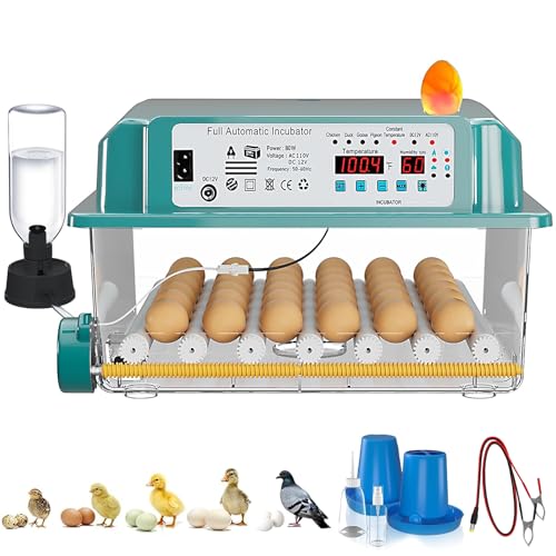 CoInceptus 36 Eggs Incubators for Hatching Eggs,Egg Incubator with 4 Automatic Incubate Mode,Chicken Incubator with Automatic Egg Turning Humidity Display,Quail Egg Incubator with Egg Candle - size: 36 Egg