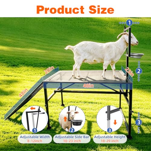 Adjustable Metal Goat Milking Stand，600LBS with Ramp & Feed Bin | Heavy duty livestock organizer suitable for goats, sheep and lambs for daily milking, grooming and hoof trimming on farms.