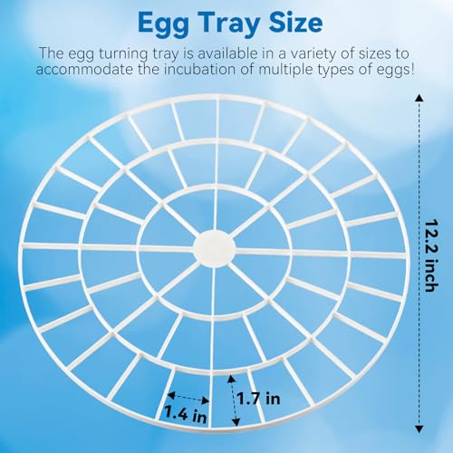 Enhon 48 Egg Tray Compatible with Nurture Right 360 Incubator, Plastic Egg Turner Tray Replacement for Hatching Small Quail Bird Chicken Goose Turkey, Hand Washable, Various Sizes - size: 12.2"L x 12.2"W x 0.8"H